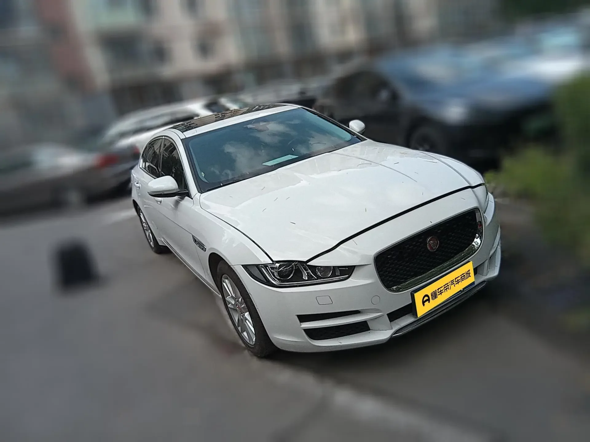 Jaguar XEL
