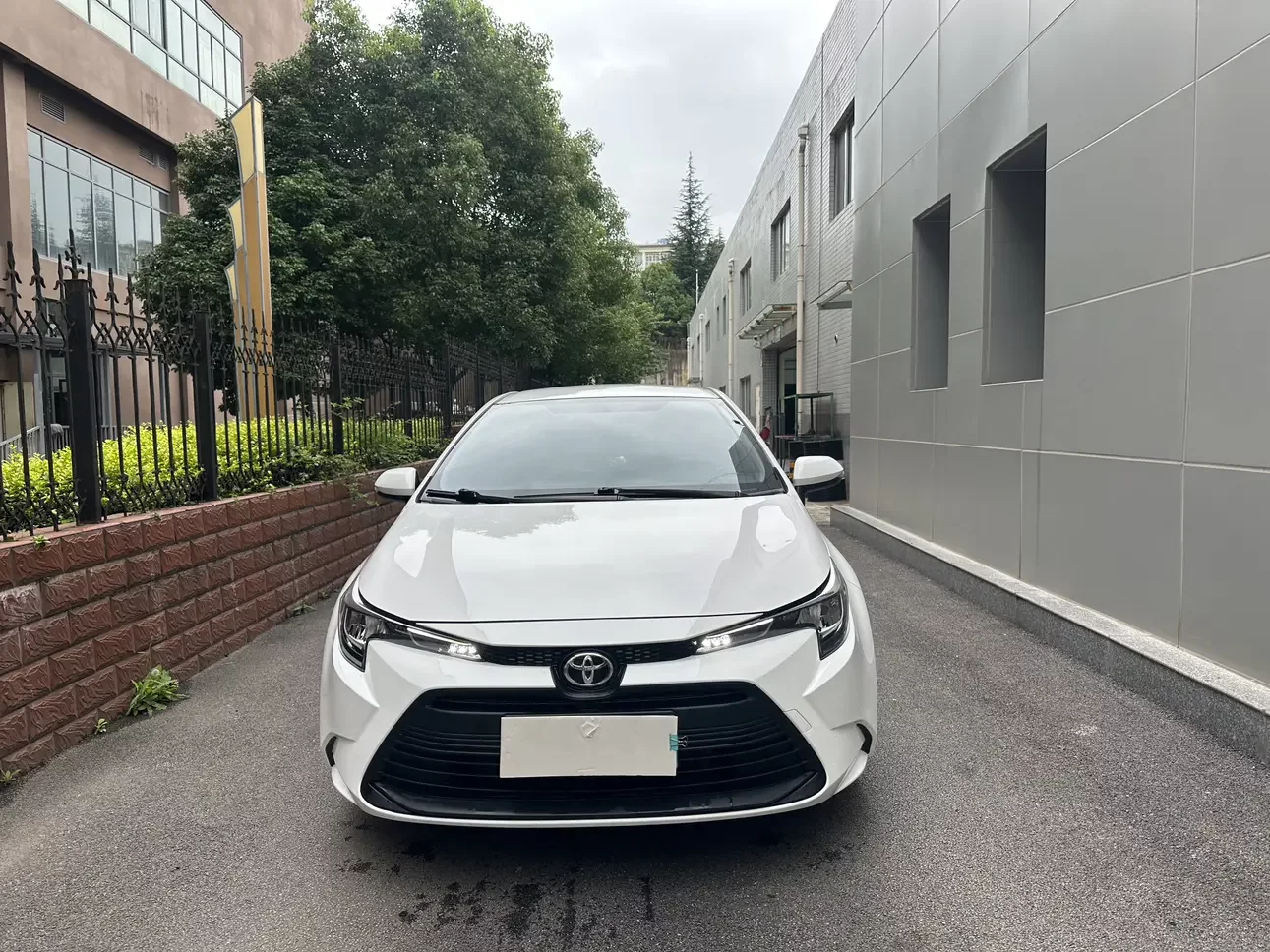 Toyota Levin (Lei Ling)  из Китая