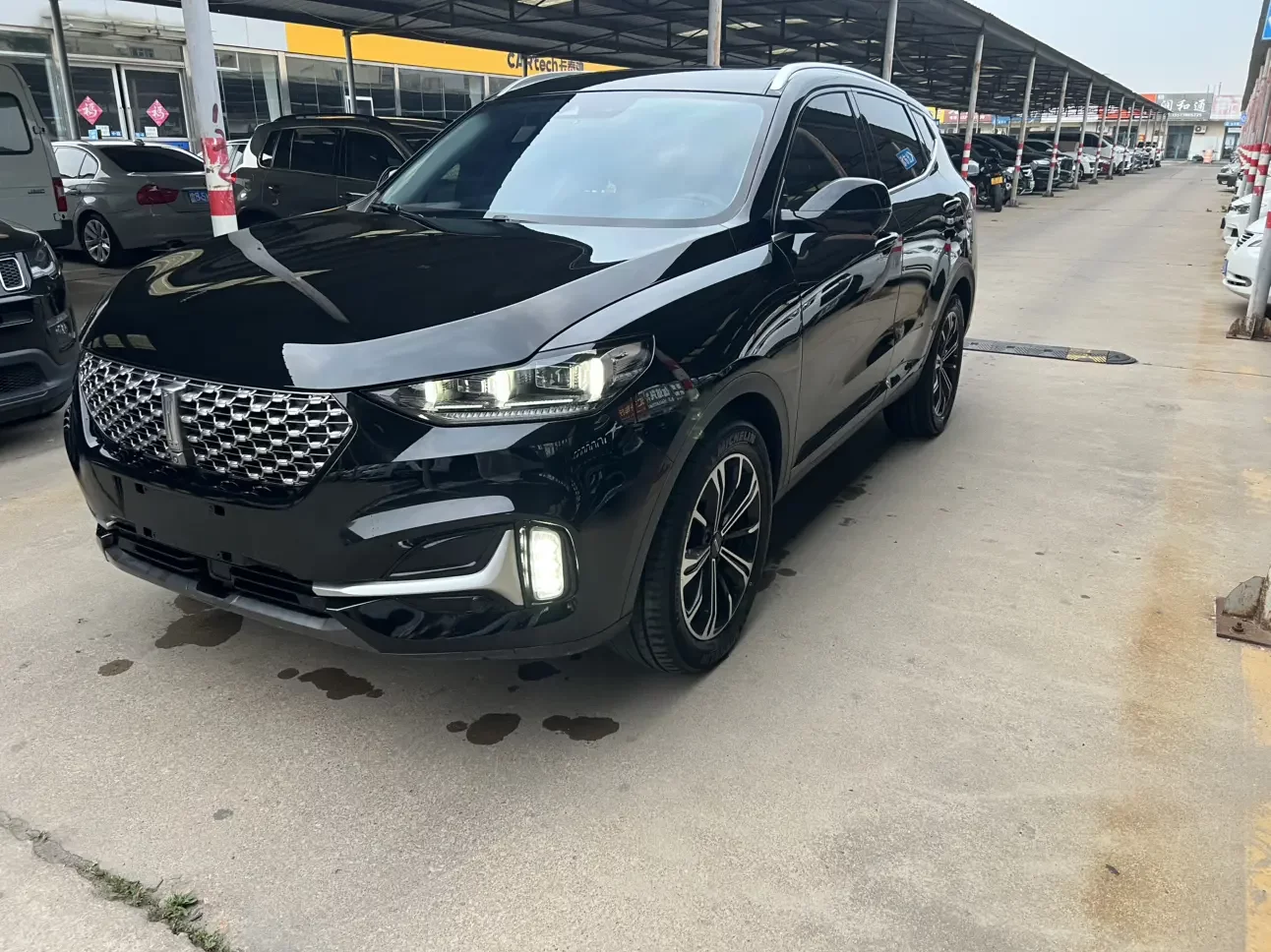 Wey Wei brand VV6