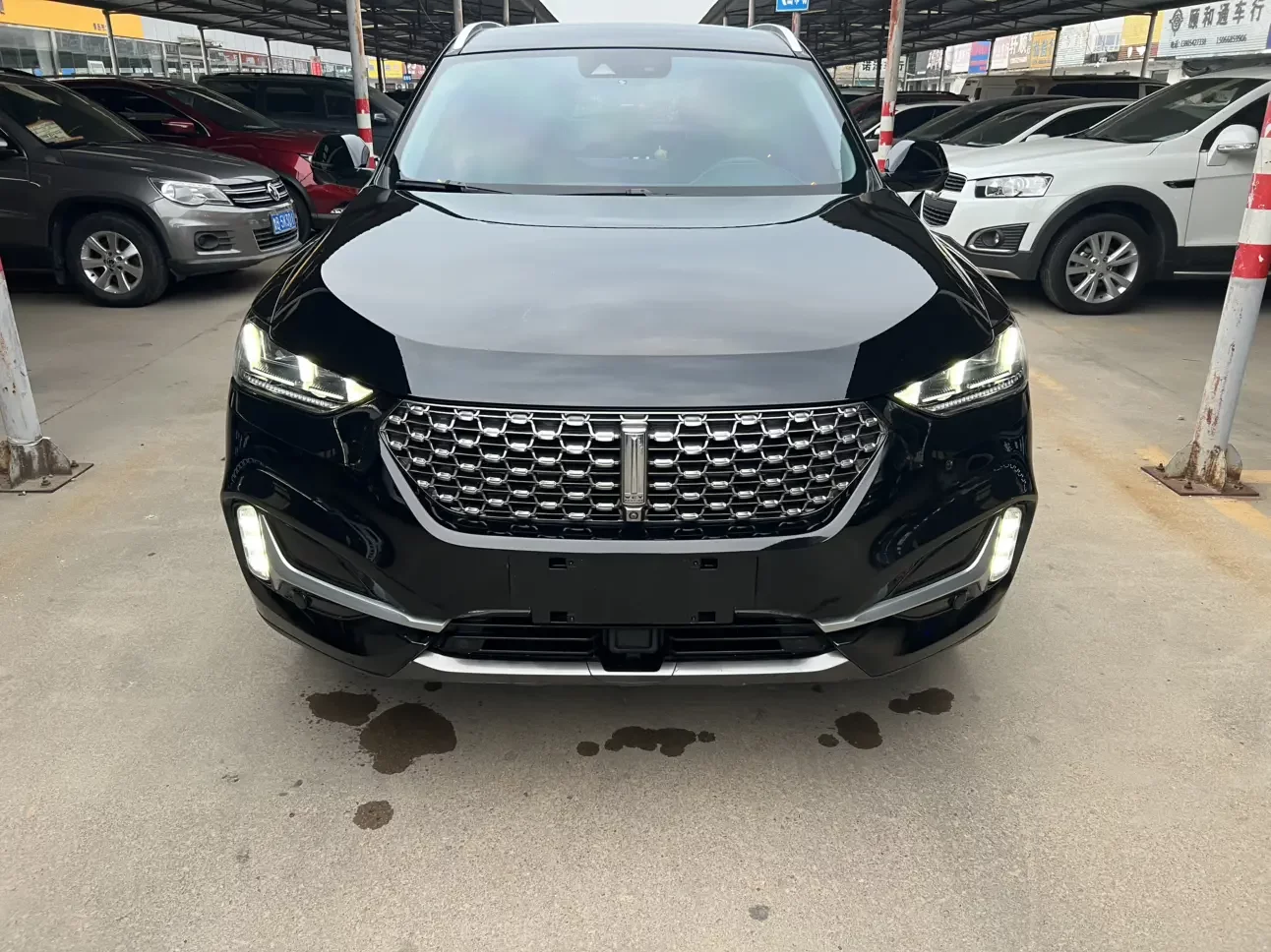 Wey Wei brand VV6