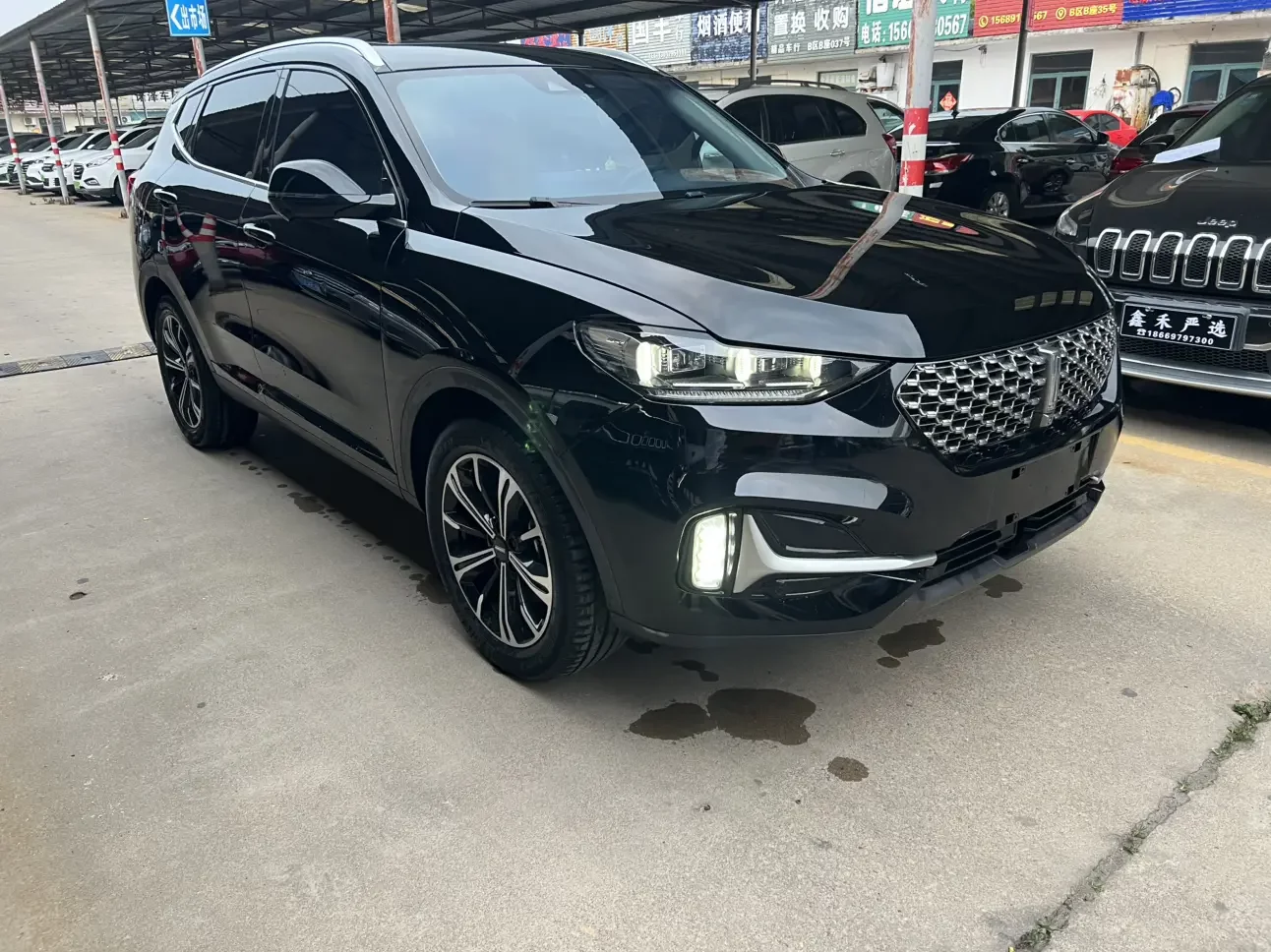 Wey Wei brand VV6