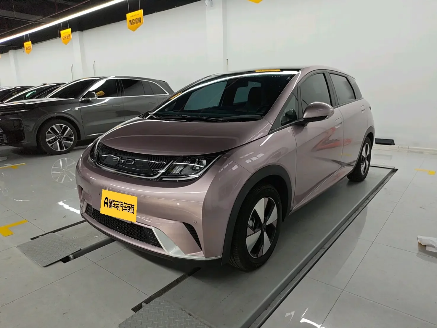 BYD dolphin