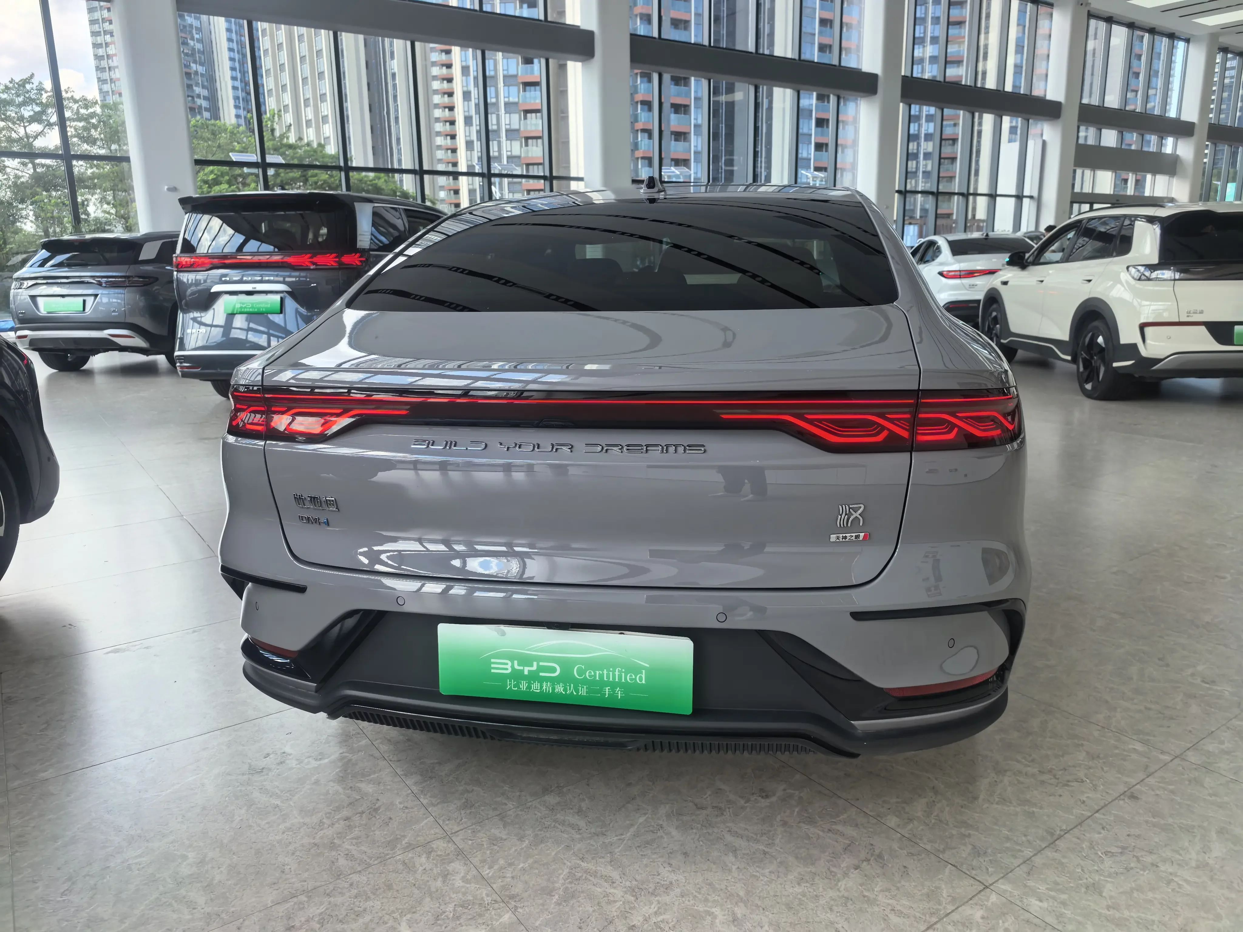BYD HAN DM