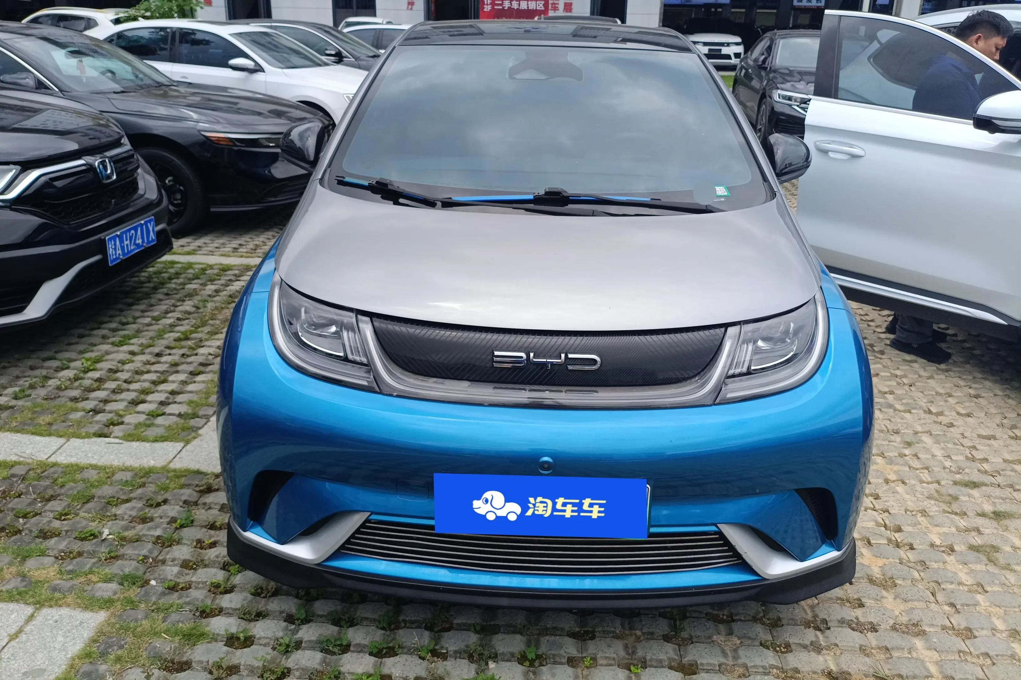 BYD dolphin