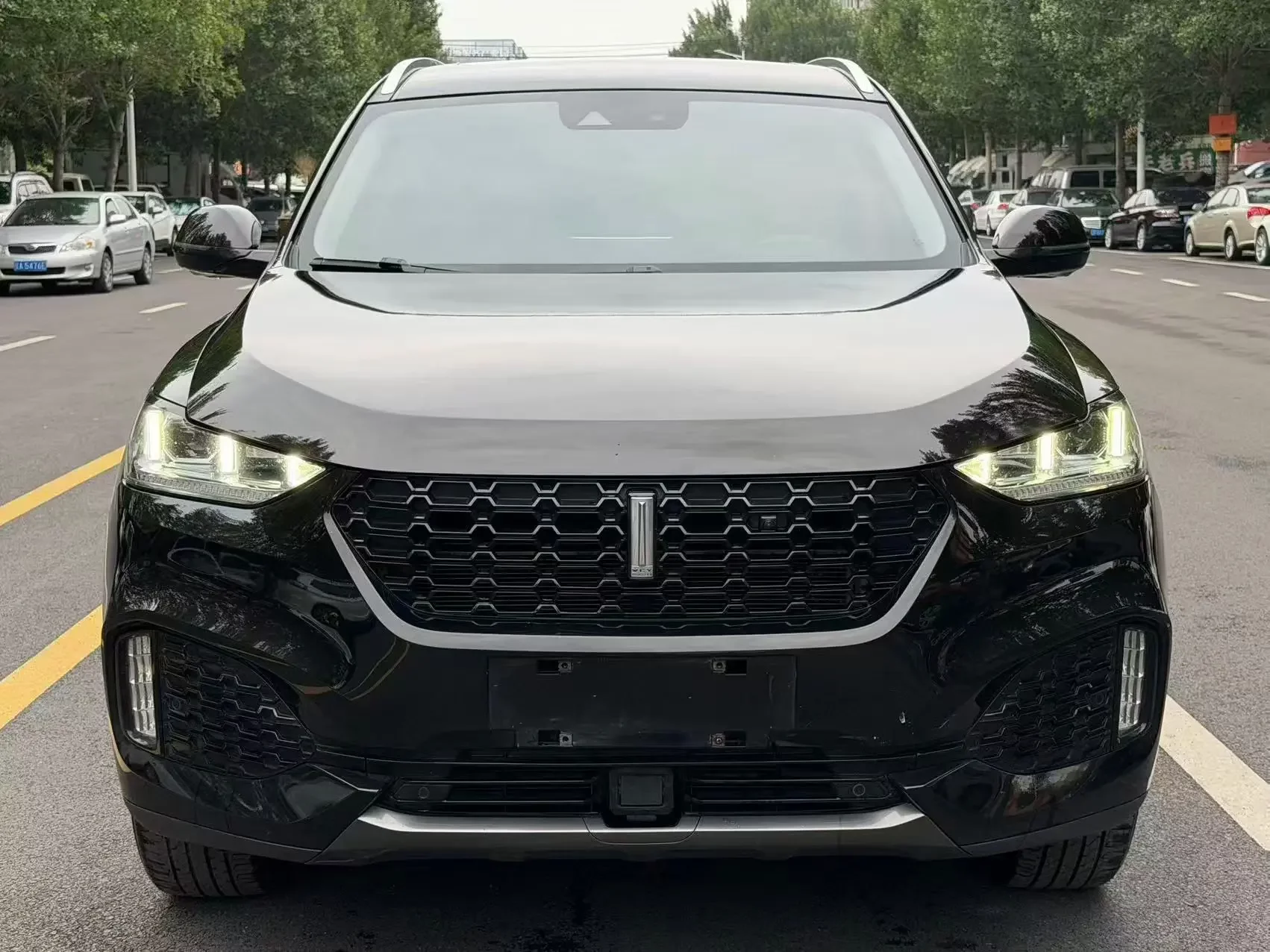Wey Wei brand VV6