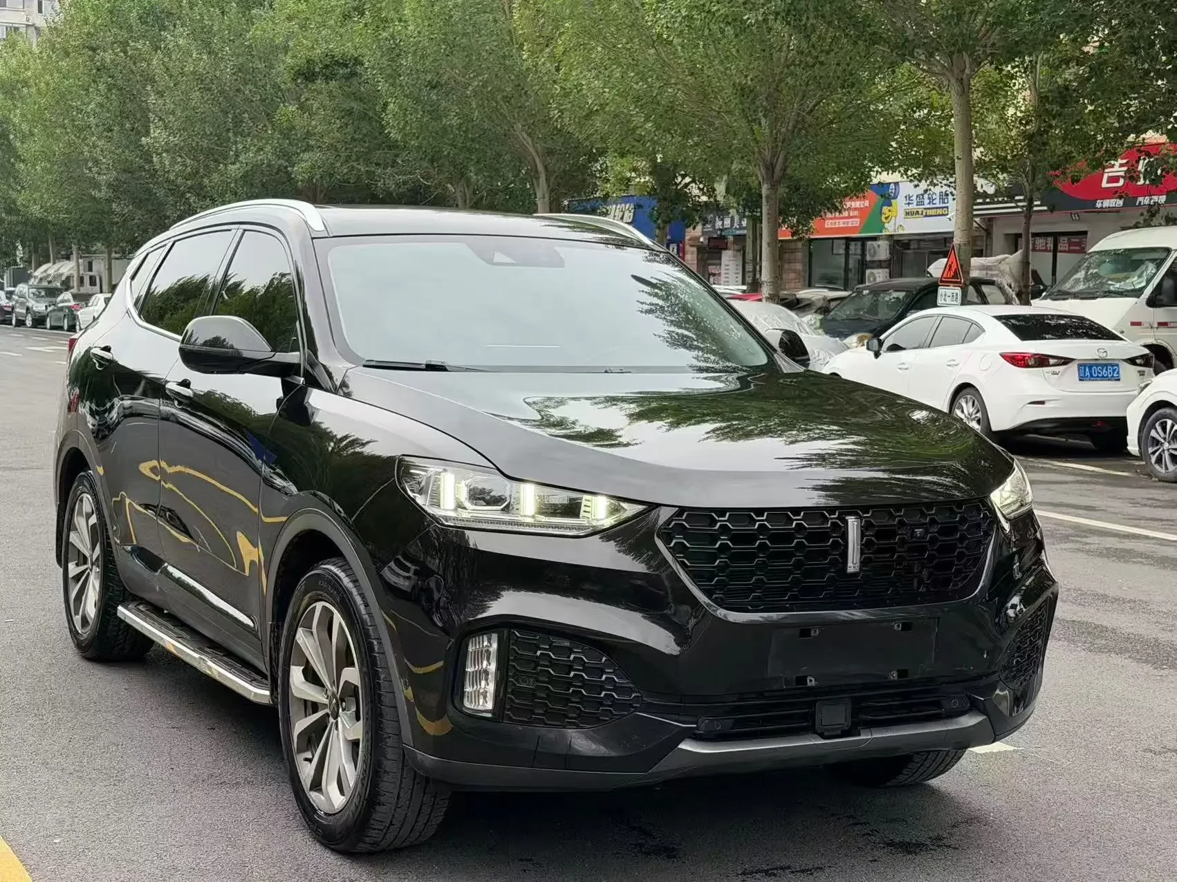 Wey Wei brand VV6