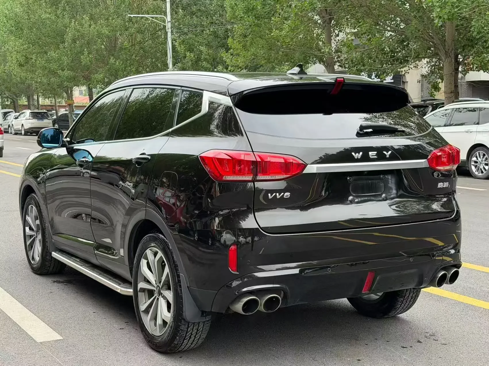 Wey Wei brand VV6