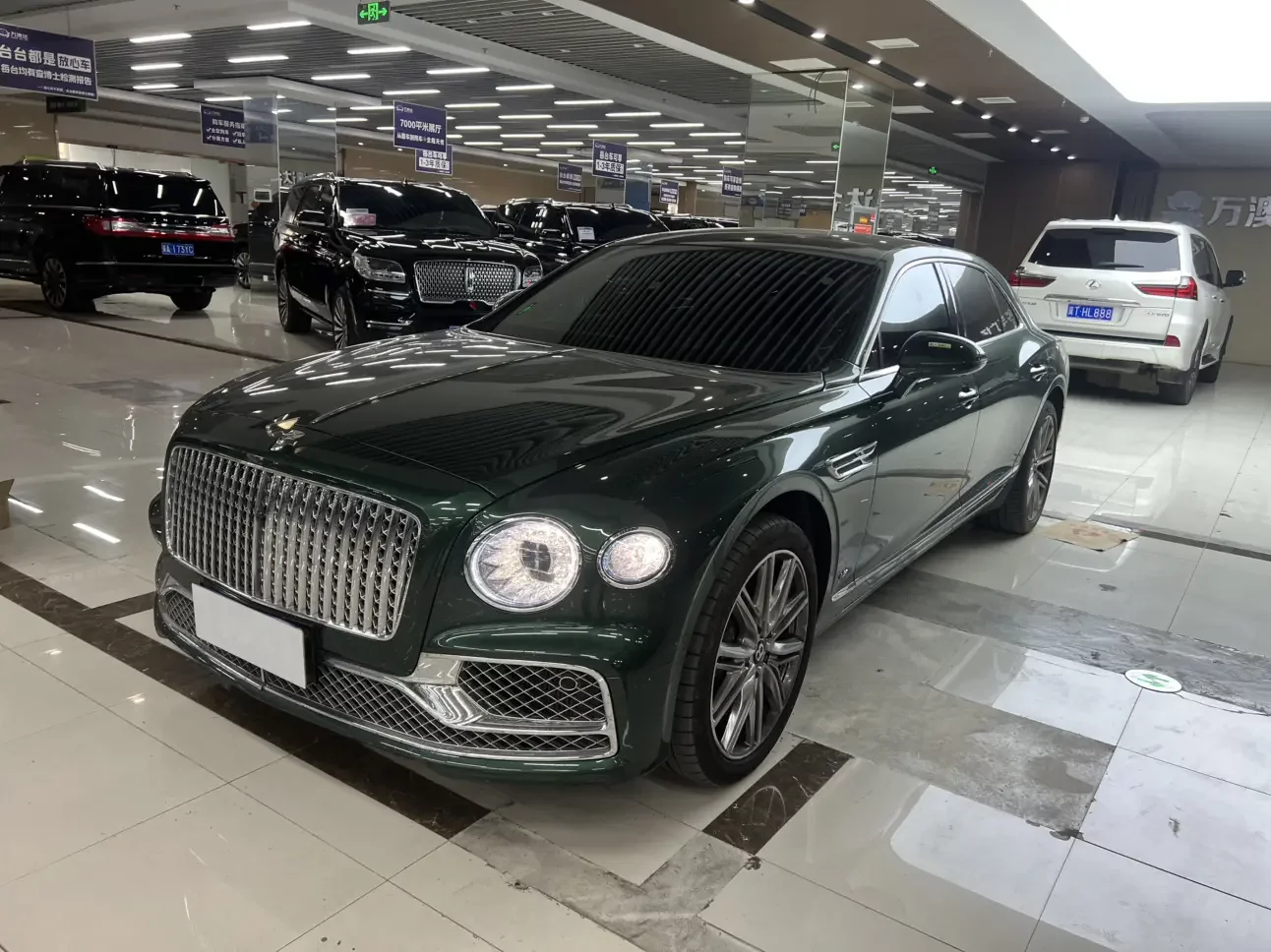 Bentley galloping