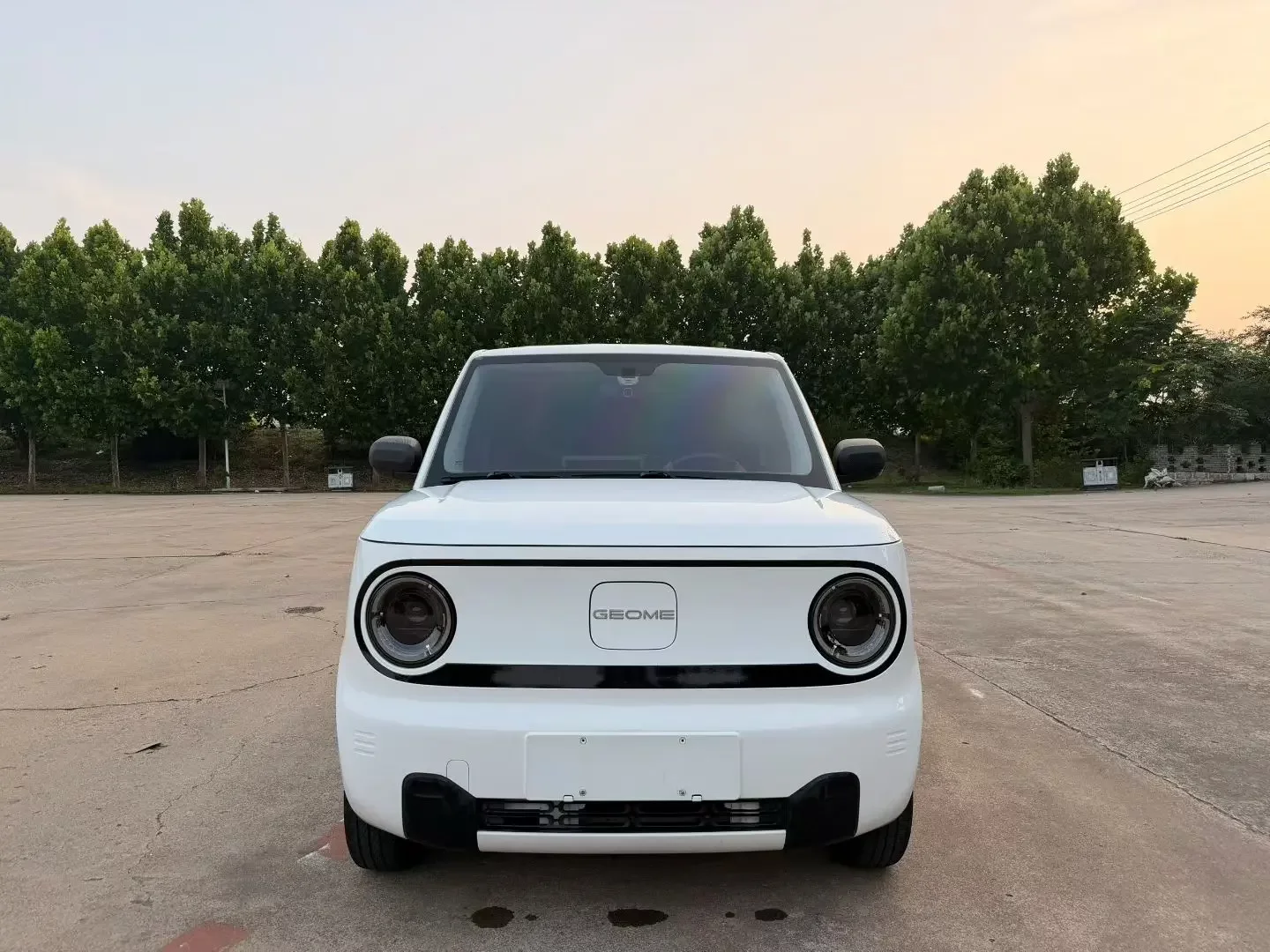 Geely panda