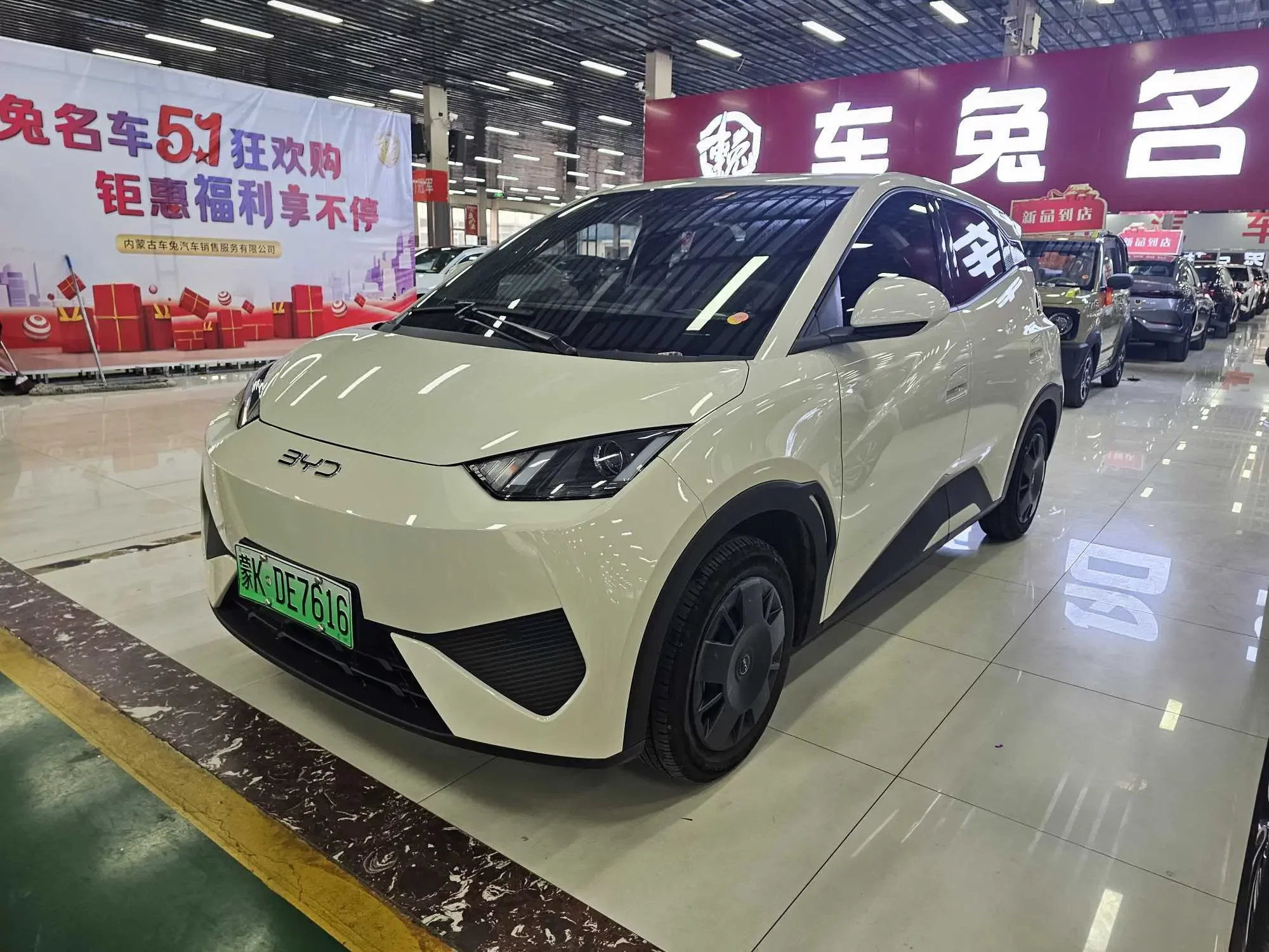 BYD seagull