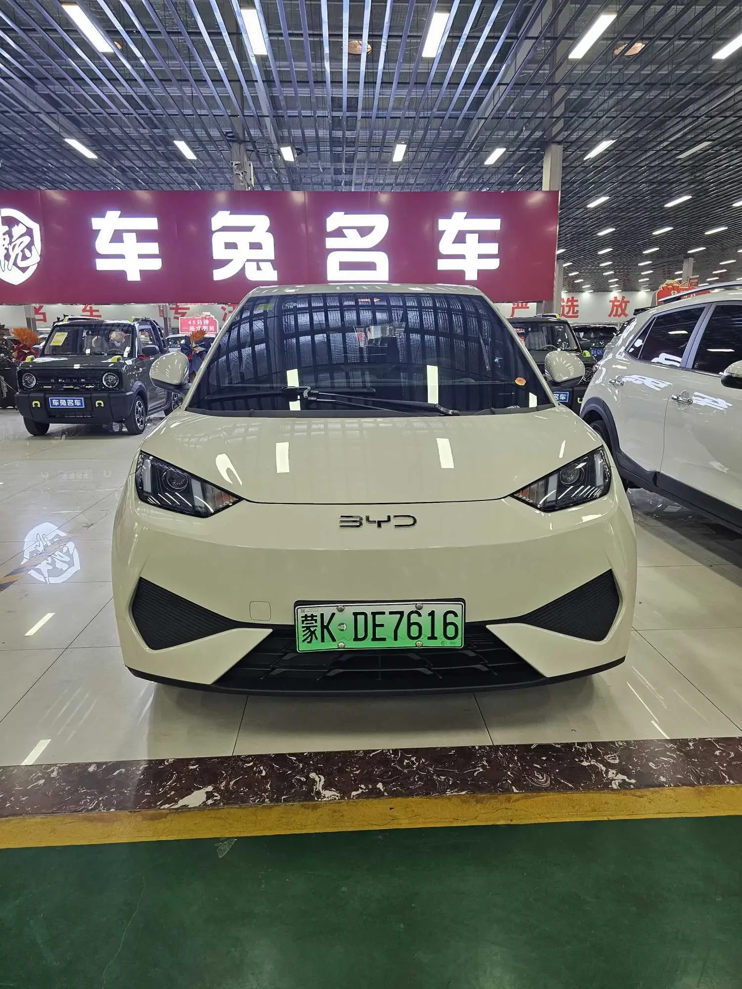 BYD seagull
