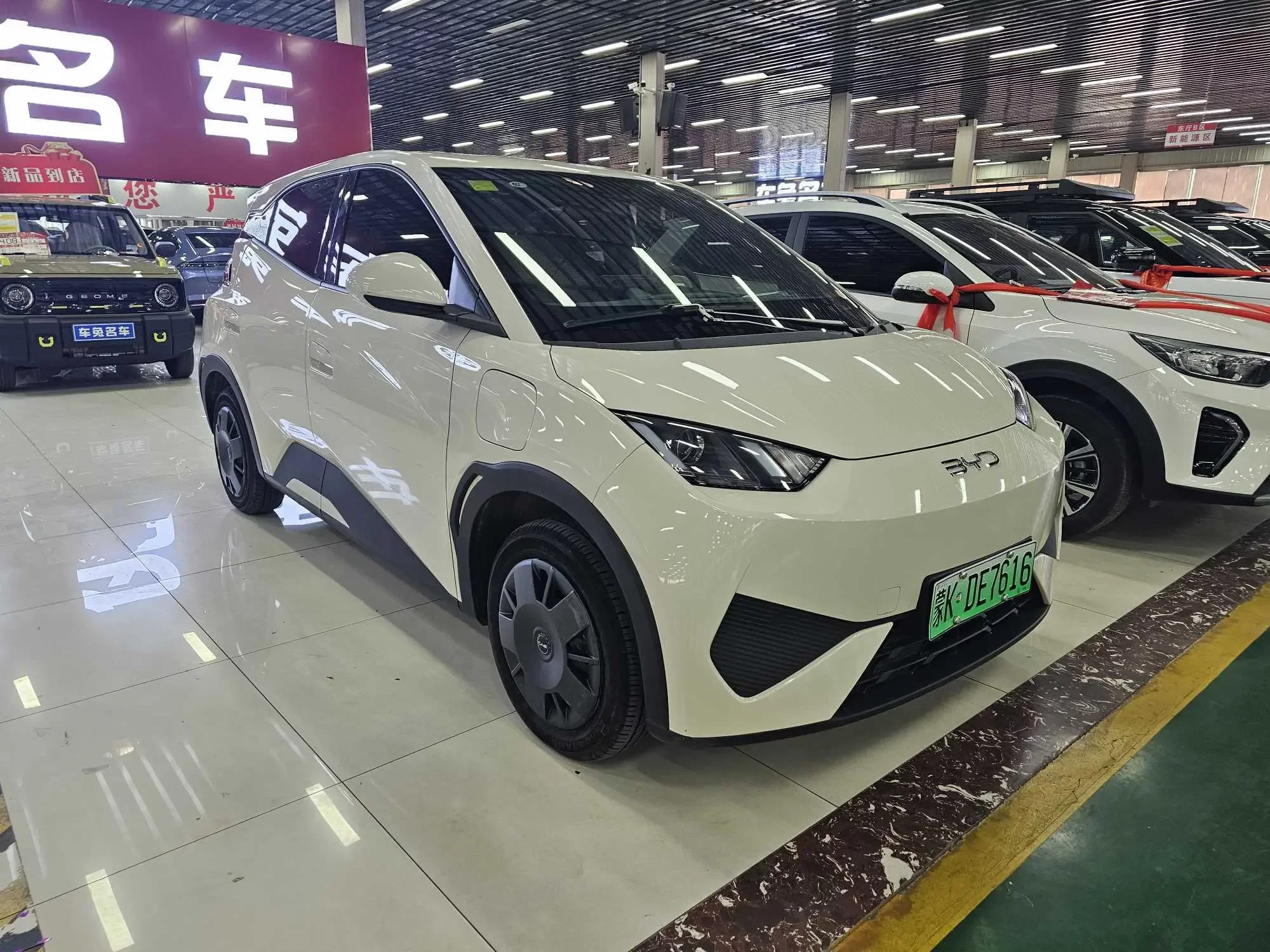 BYD seagull