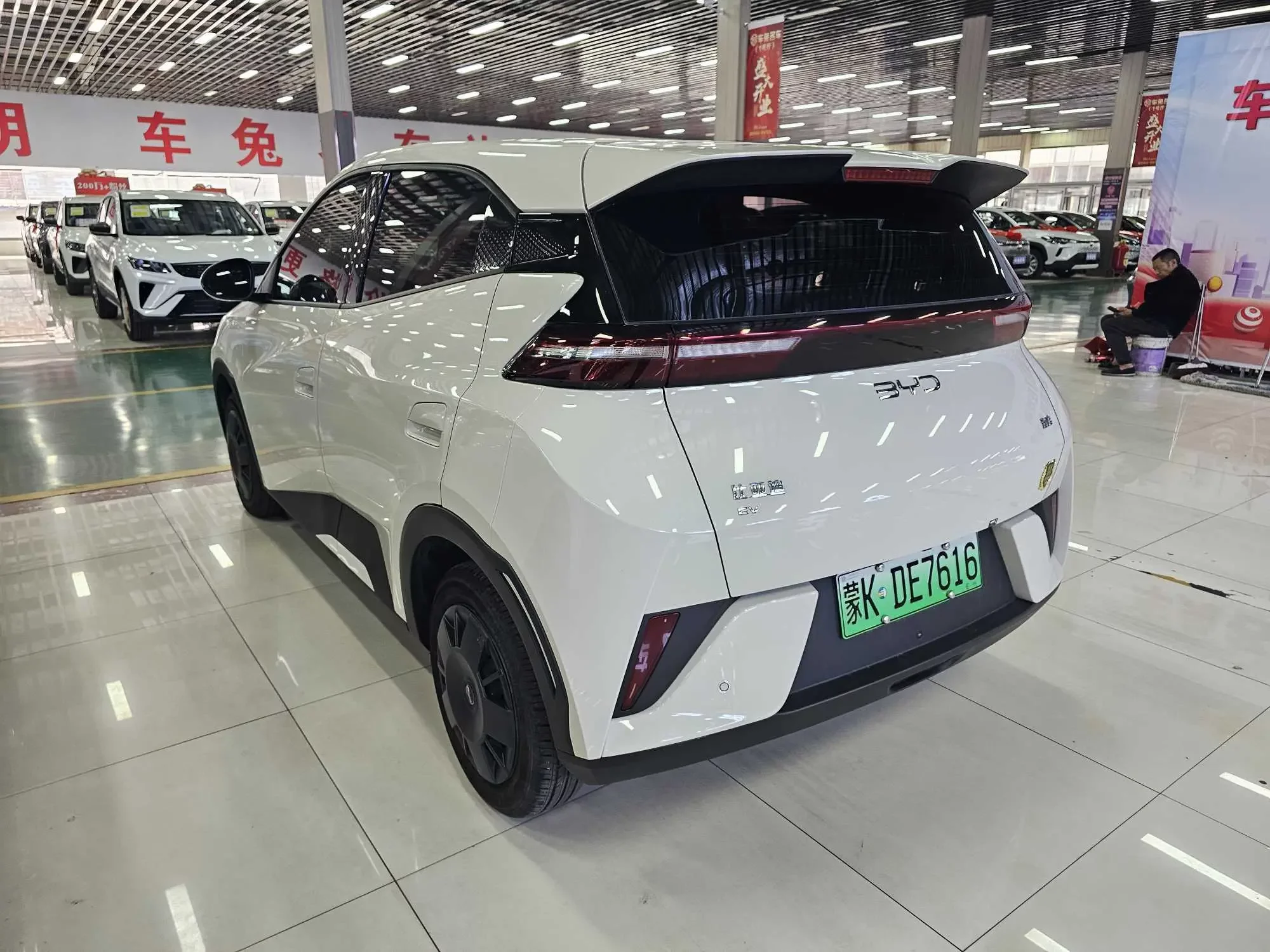BYD seagull