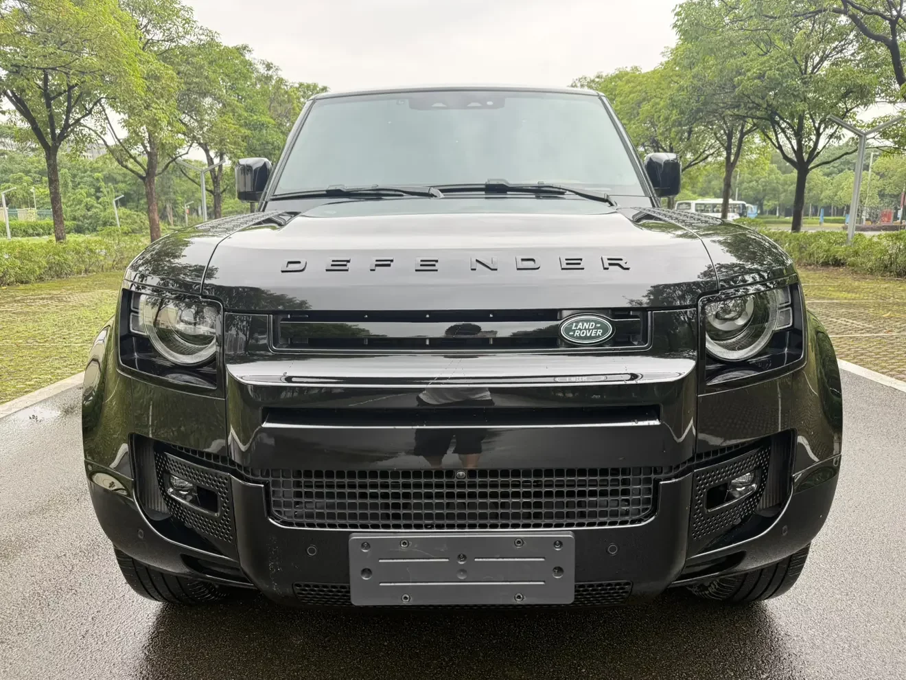Land Rover guard