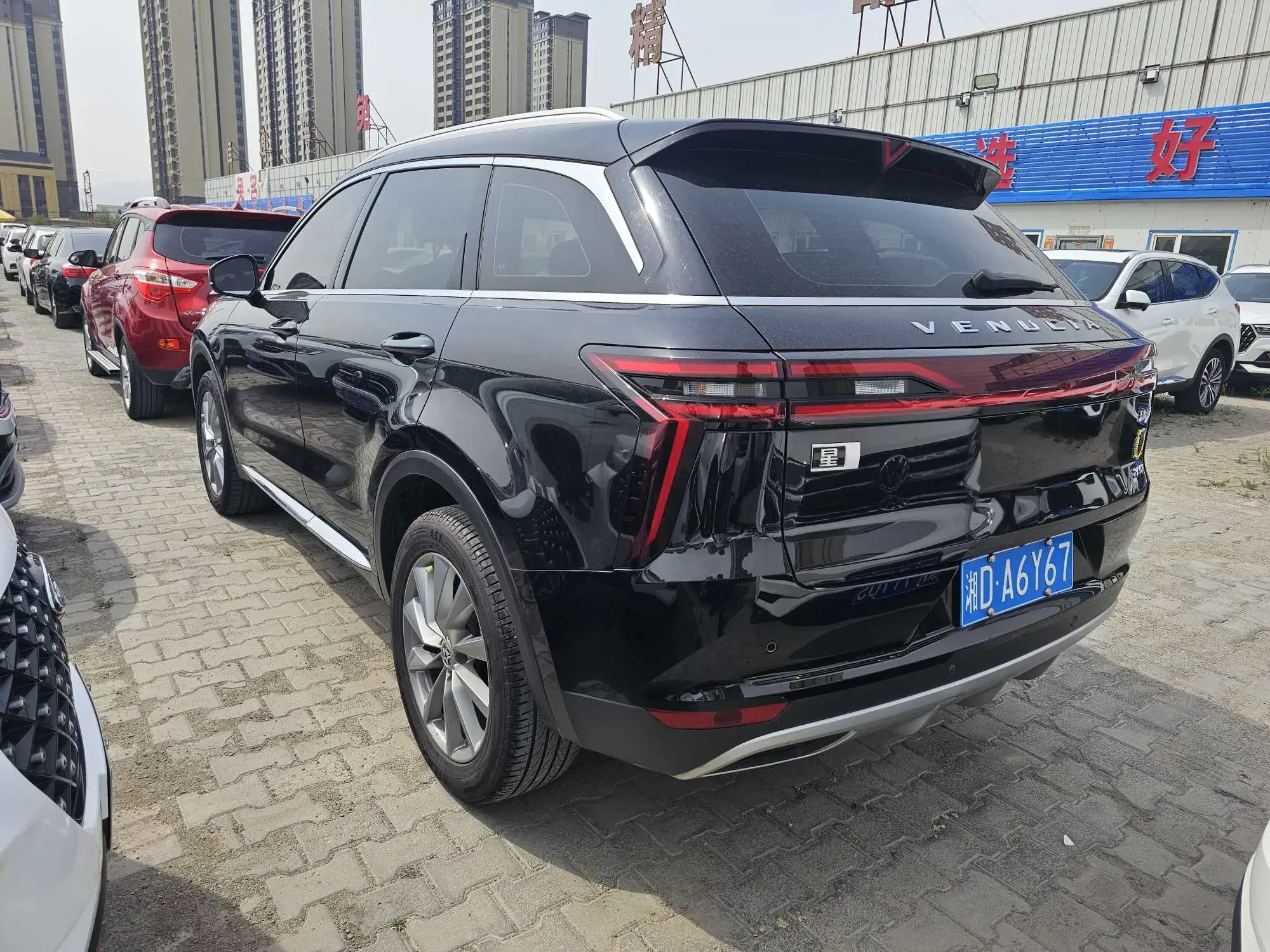 Kai Chen Venus Star