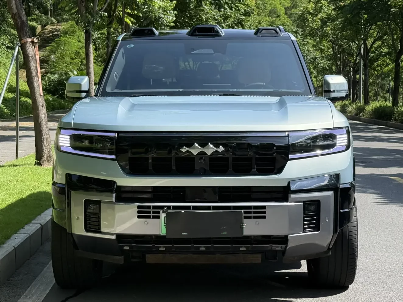 BYD Leopard Leopard 8