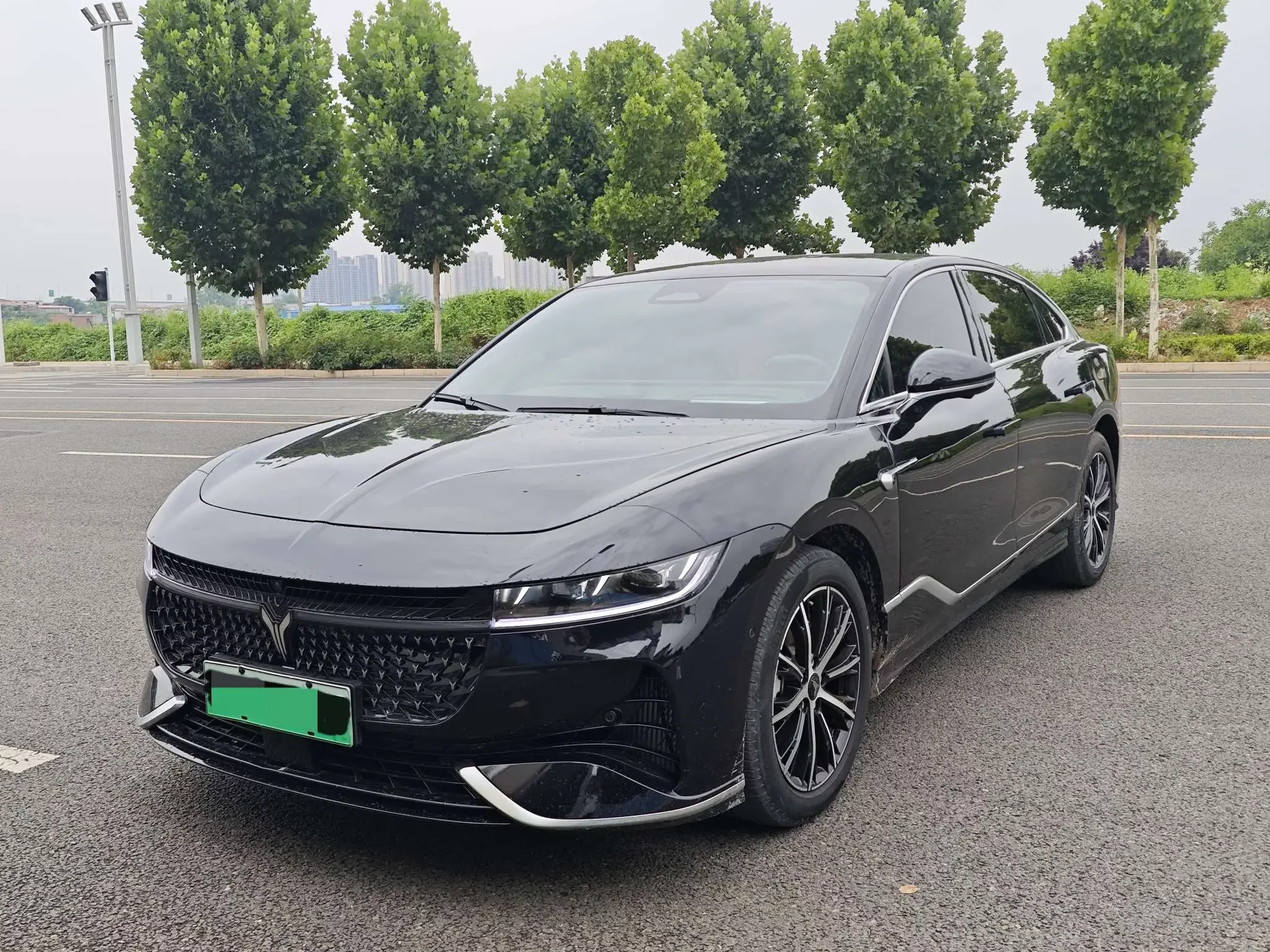 Voyah Passion PHEV  из Китая
