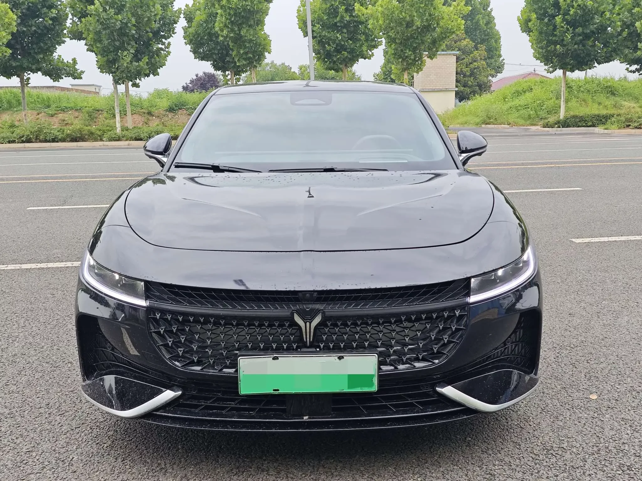 Voyah Passion PHEV  из Китая
