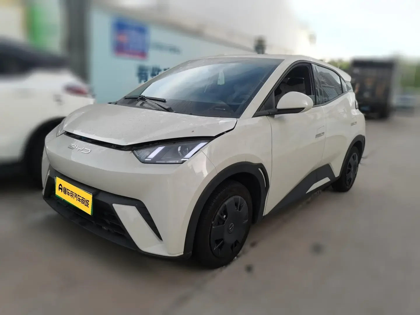 BYD seagull