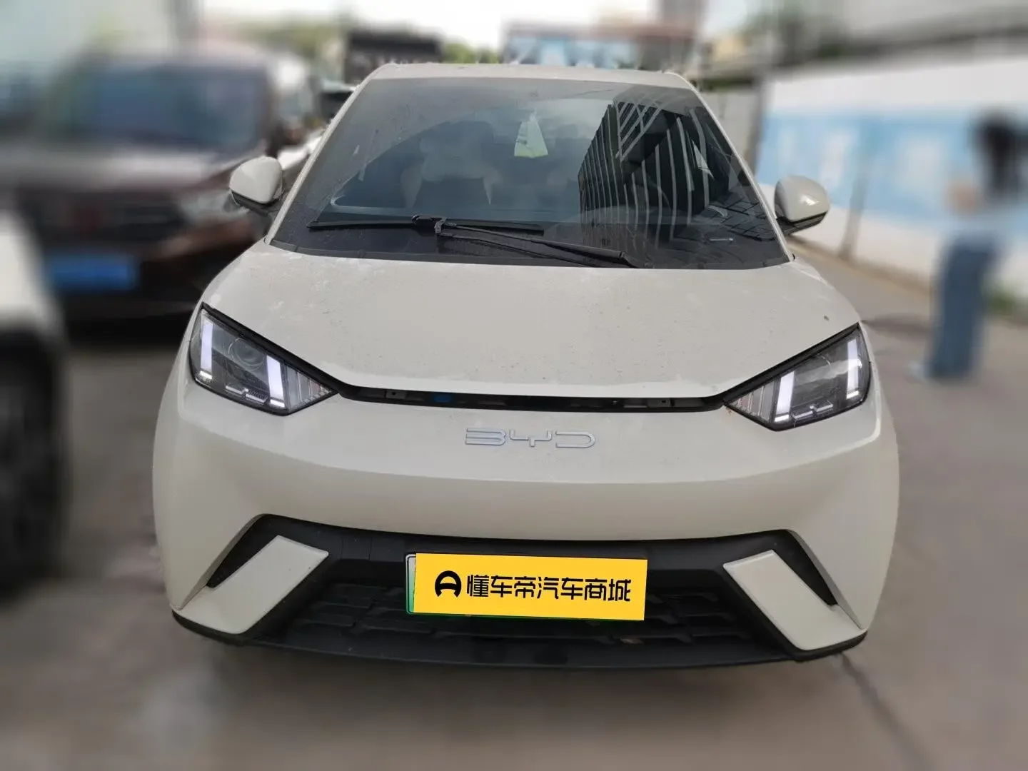 BYD seagull