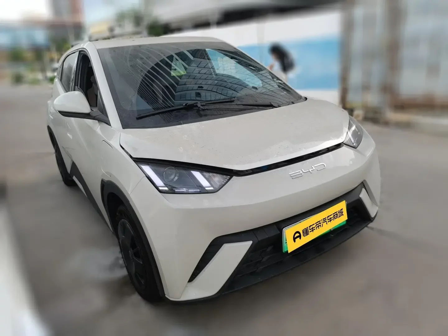 BYD seagull