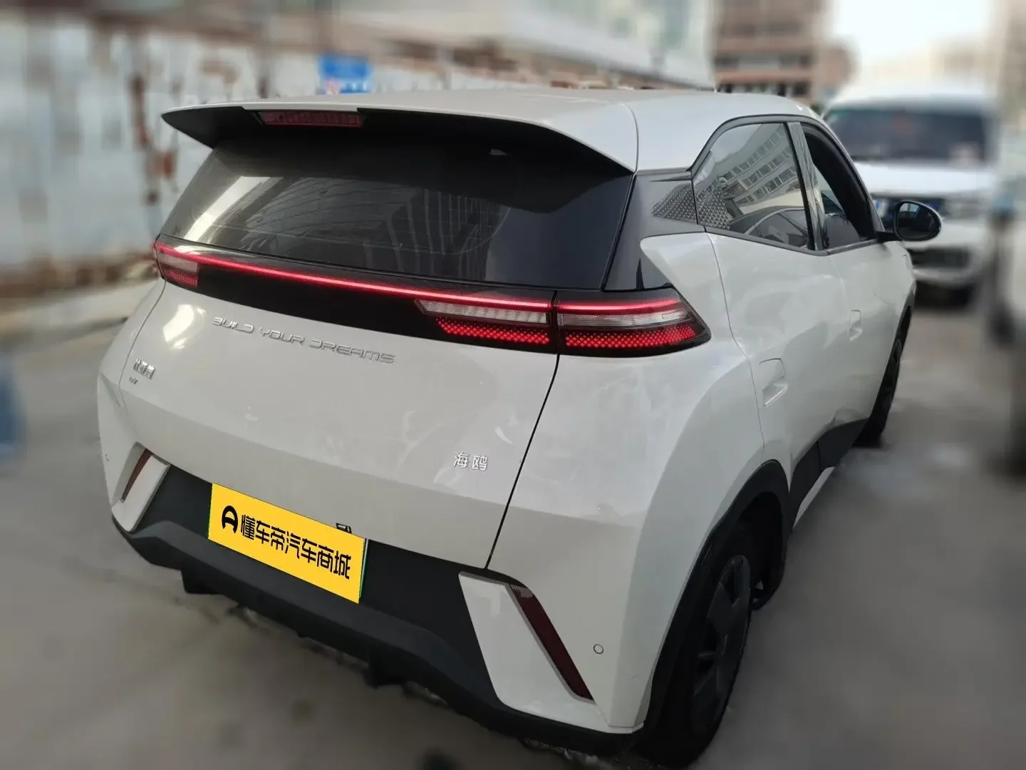 BYD seagull