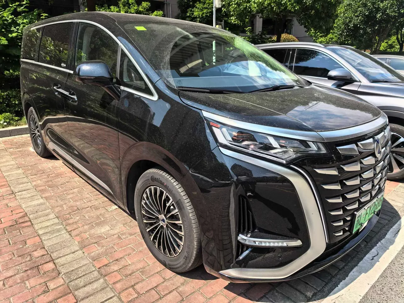 Denza D9 DM