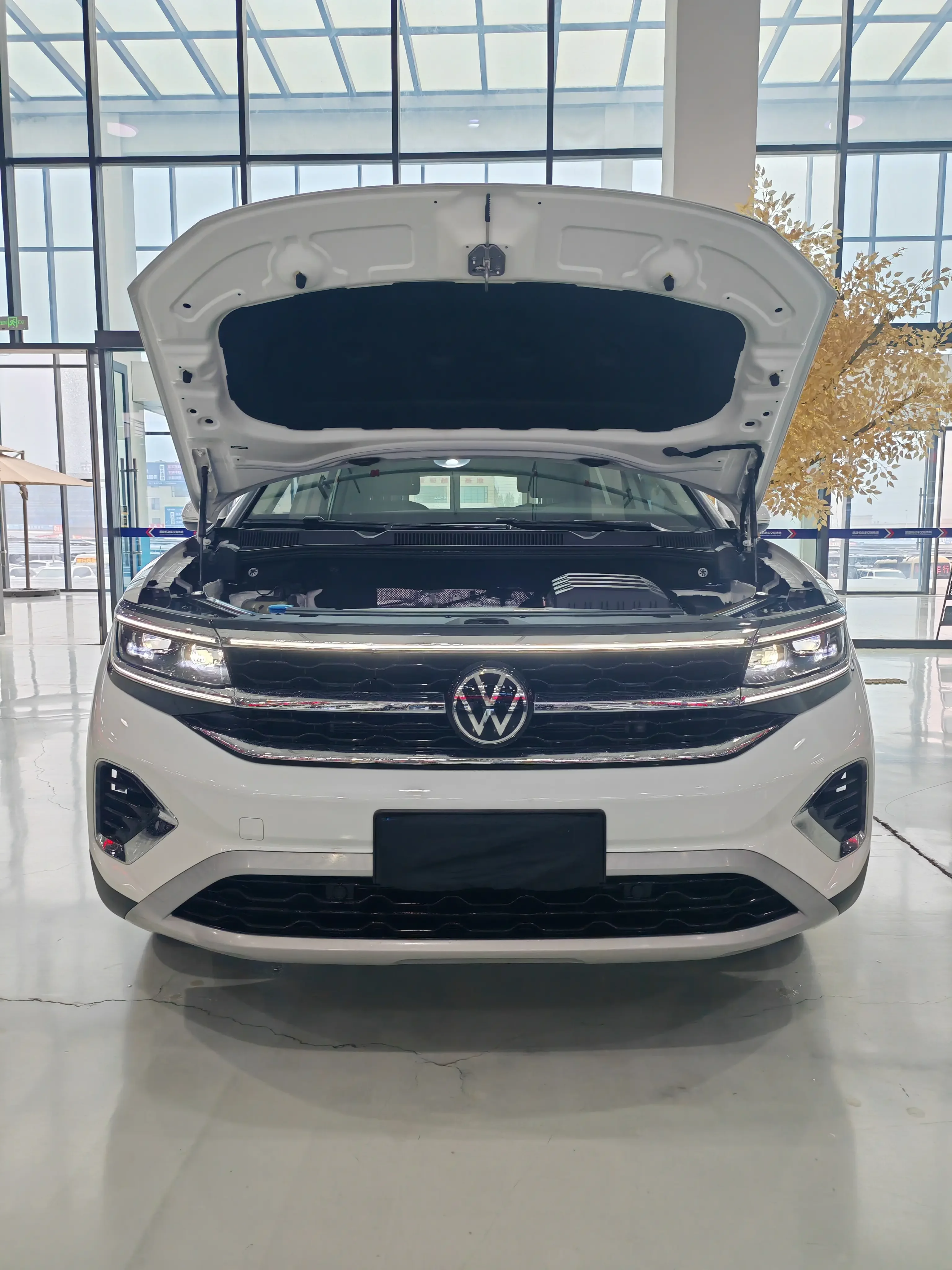 Volkswagen Talagon
