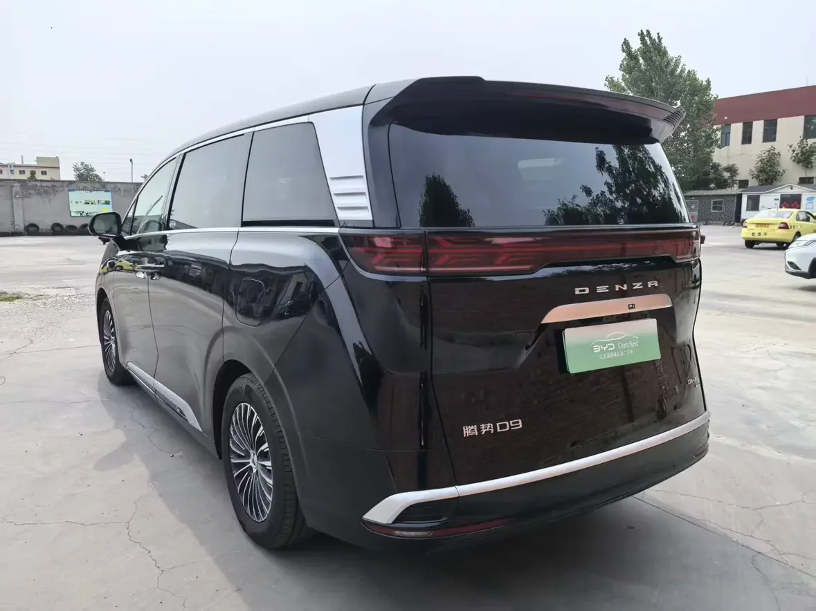 Denza D9 DM