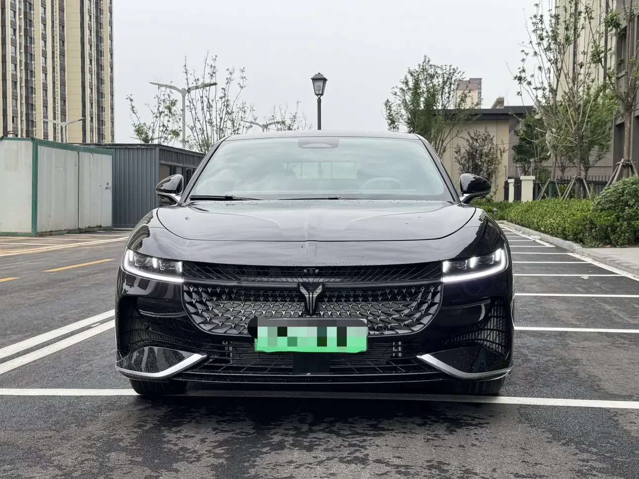 Voyah Passion PHEV