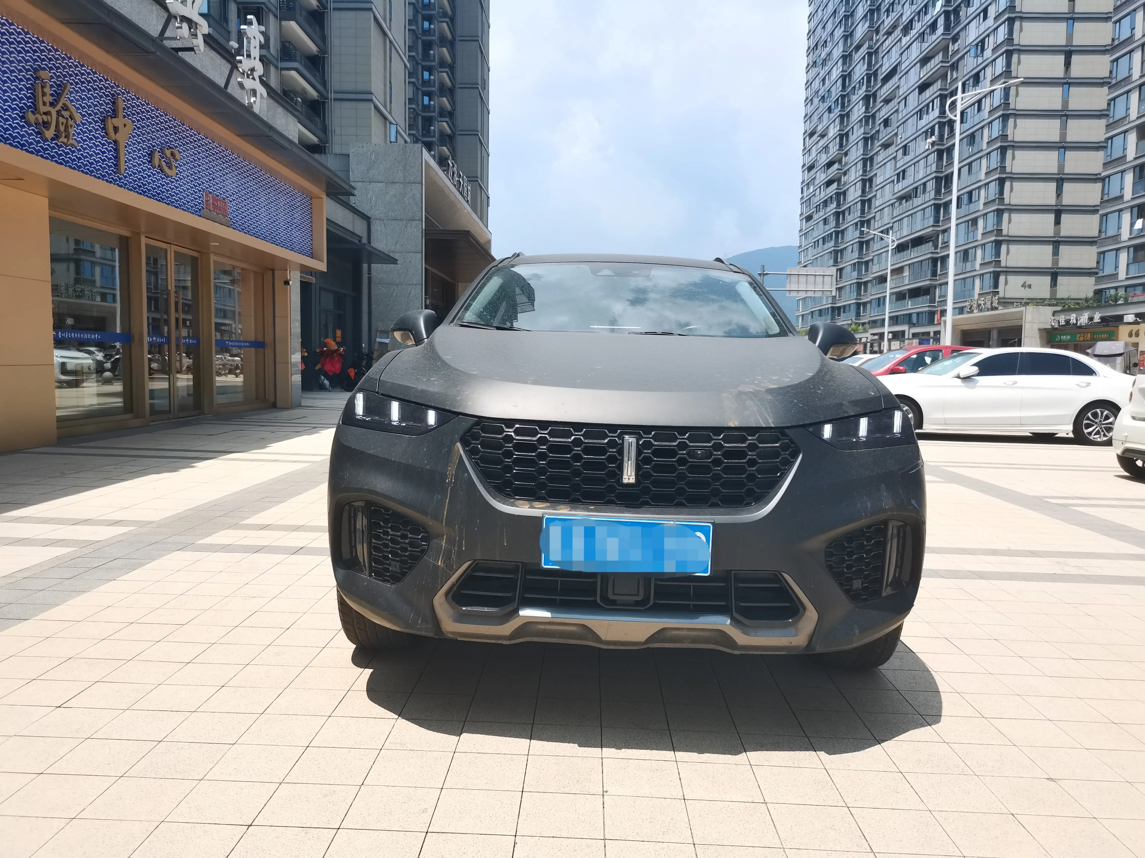 Wey Wei brand VV7