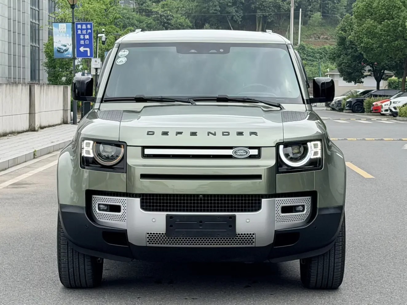 Land Rover guard
