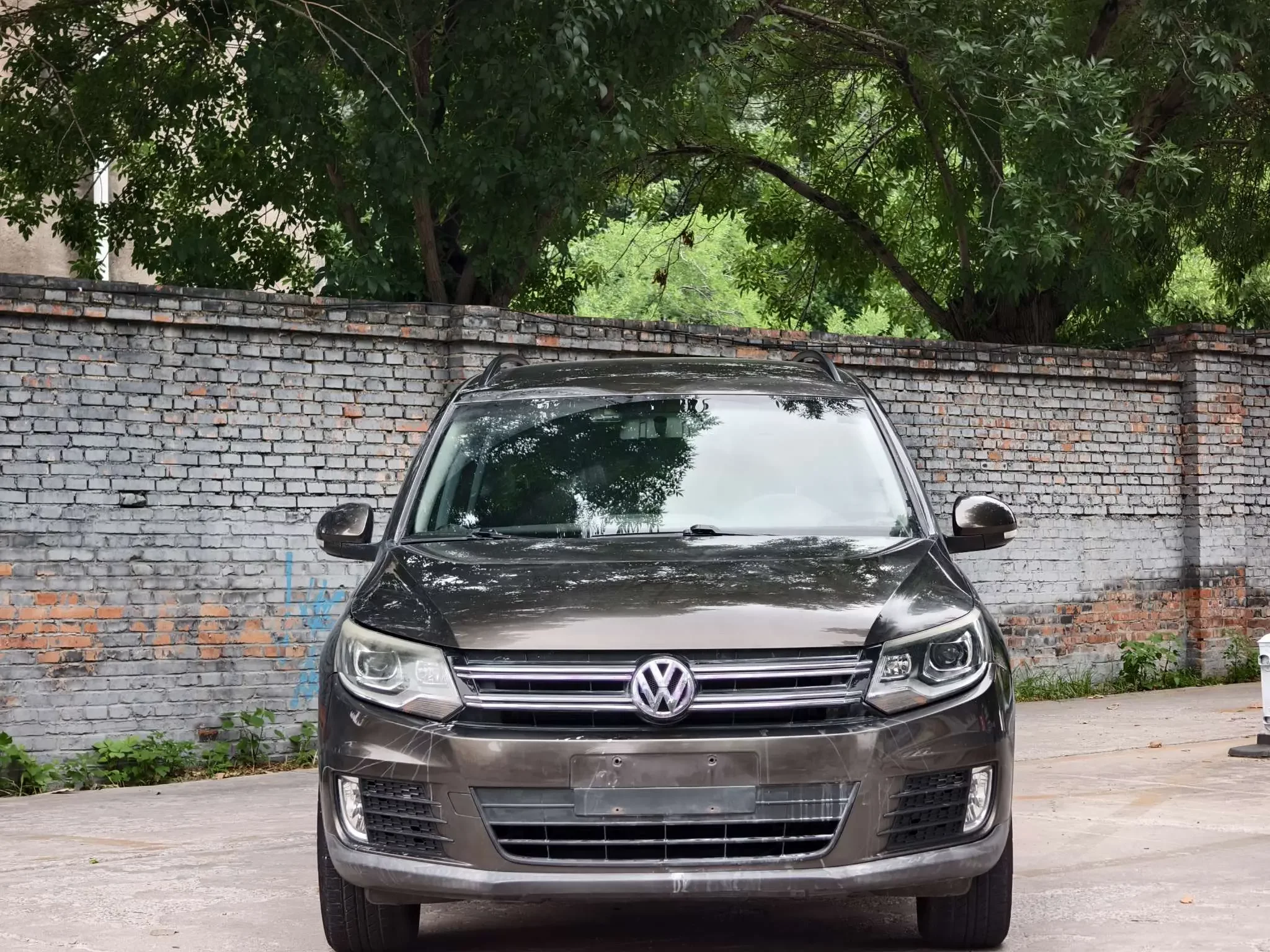 Volkswagen Tiguan (Tharu)