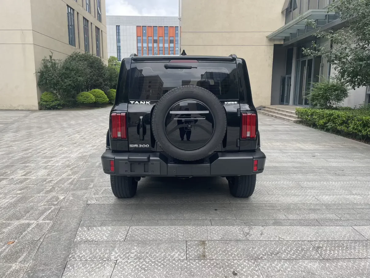 Tank 300