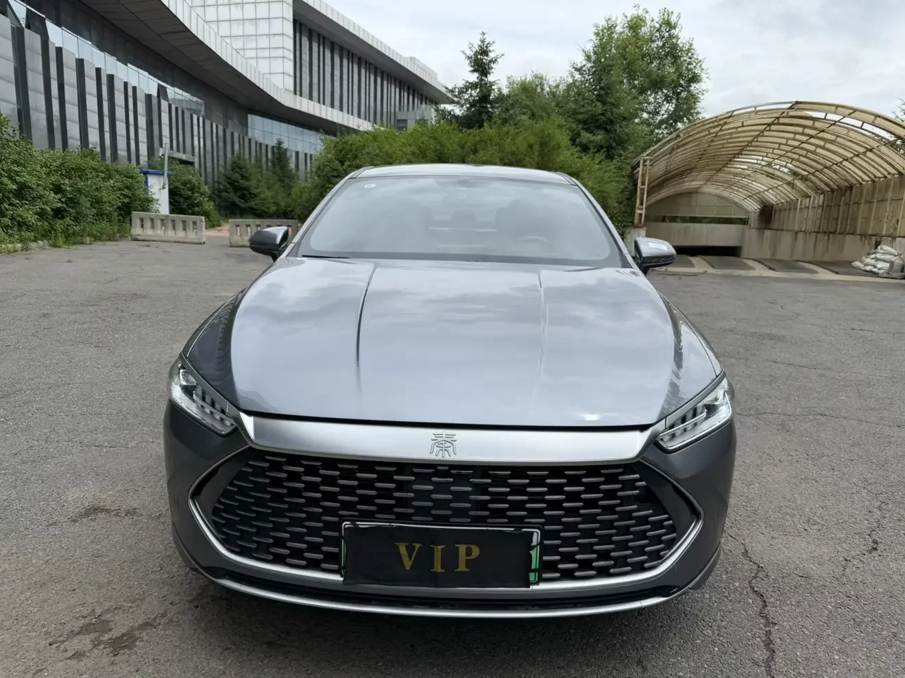 BYD Qin PLUS DM