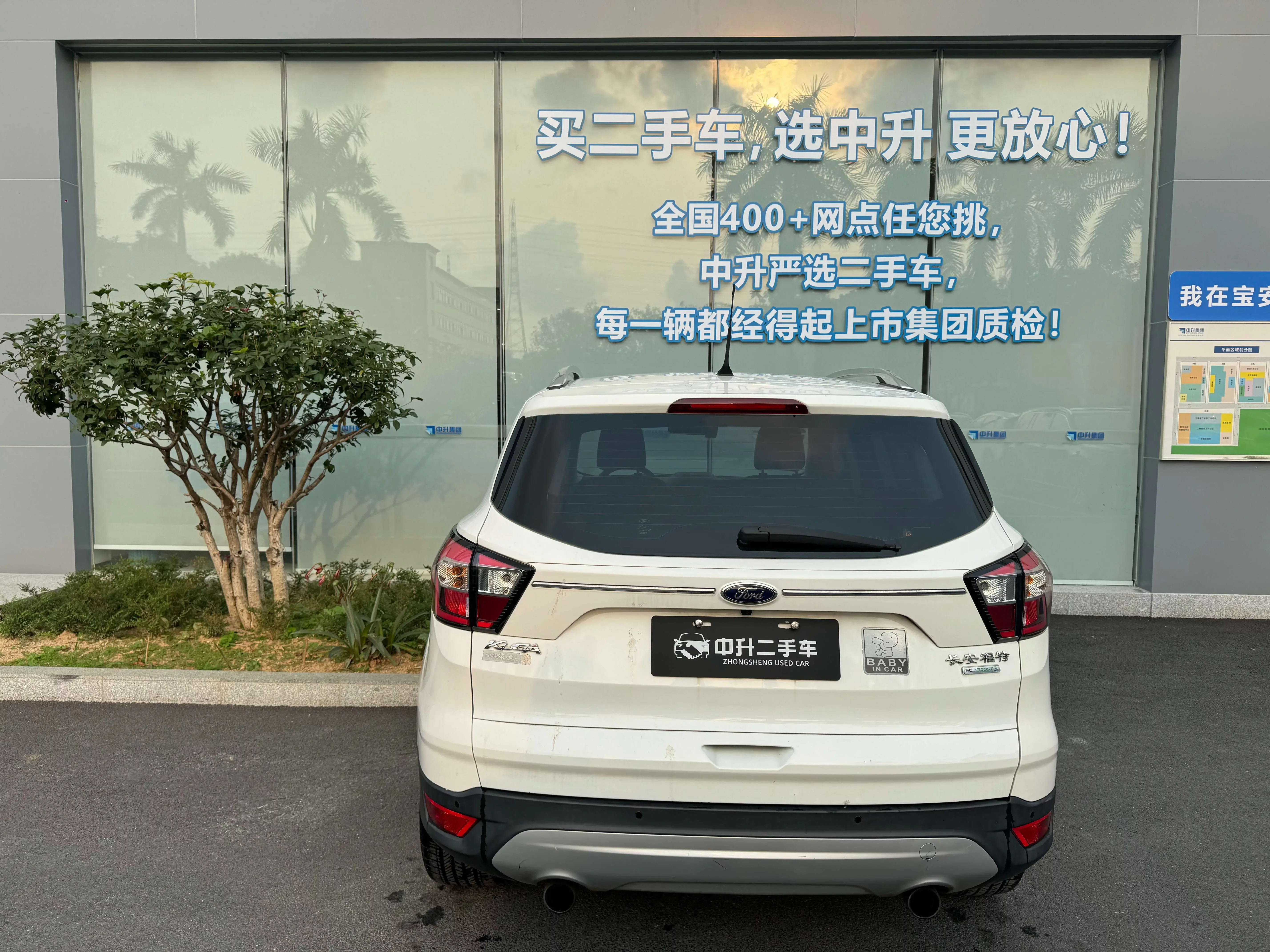 Ford wing tiger