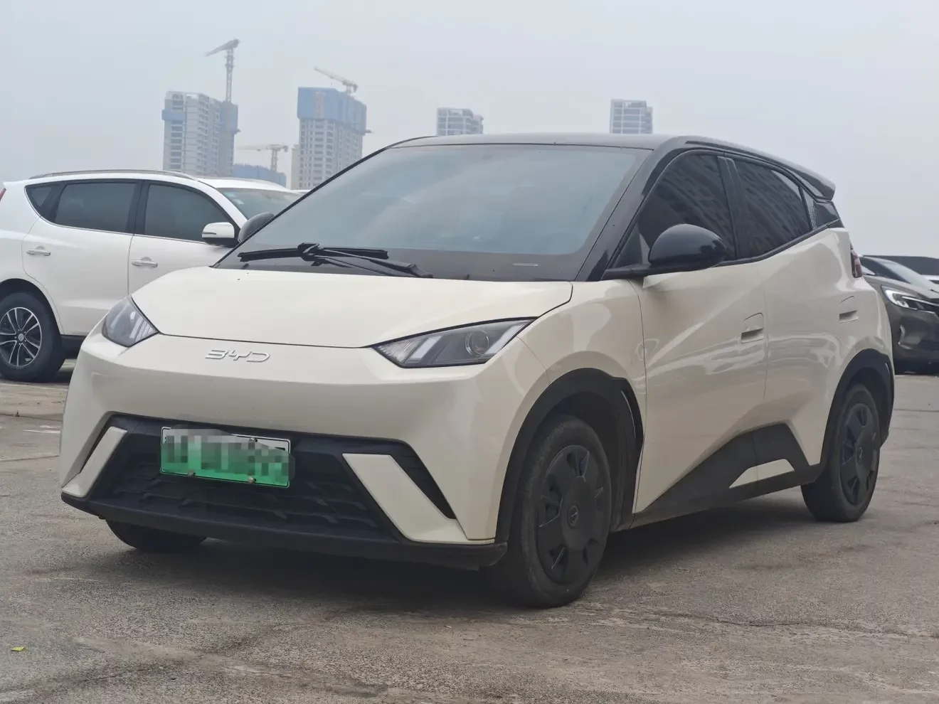 BYD seagull