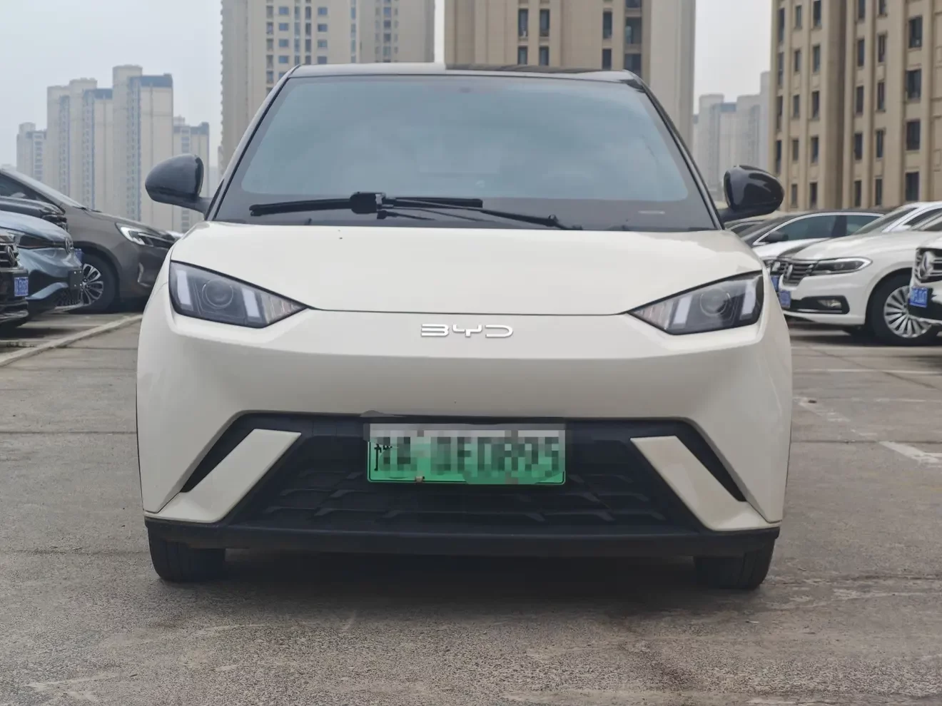 BYD seagull