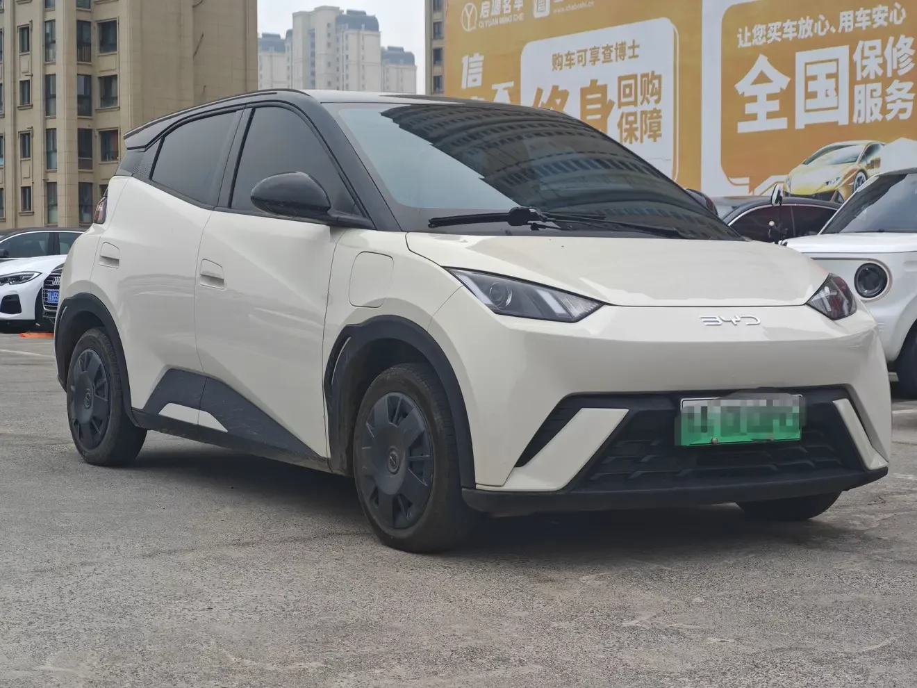 BYD seagull