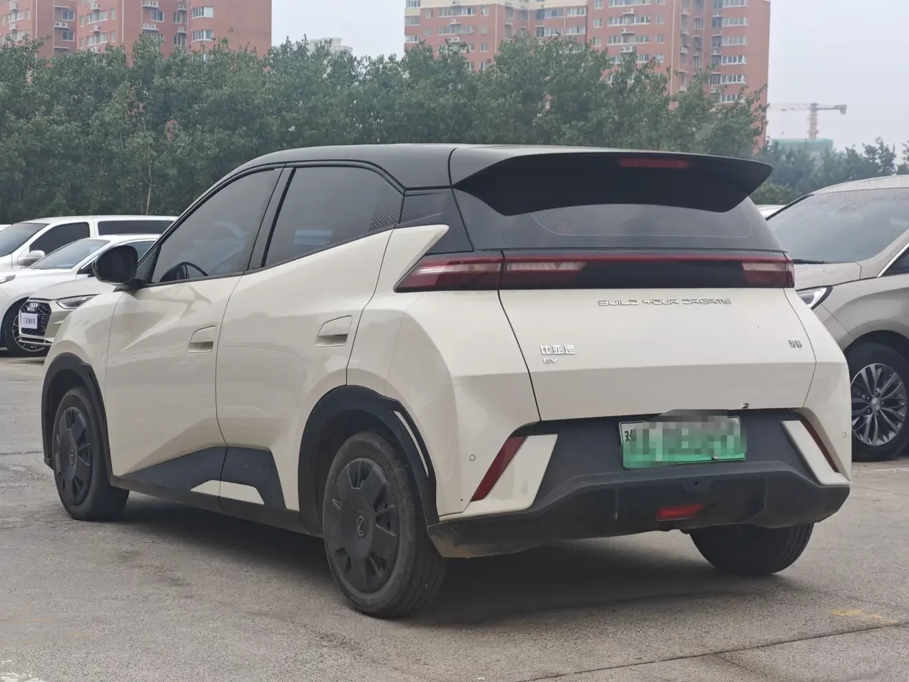 BYD seagull