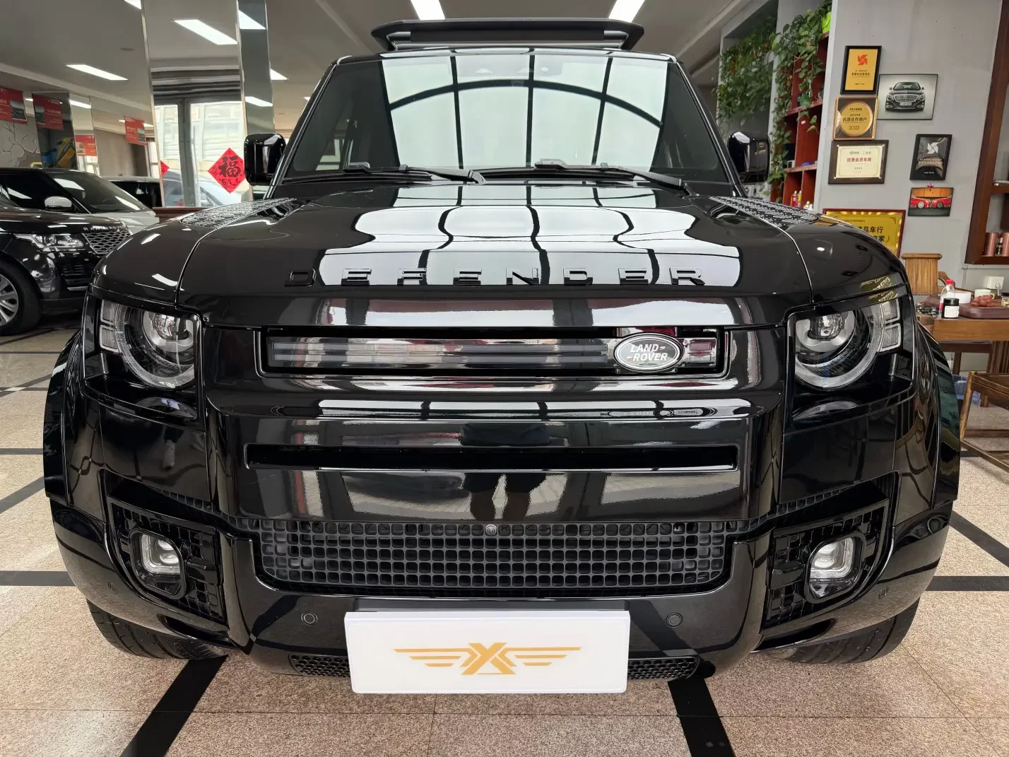 Land Rover guard