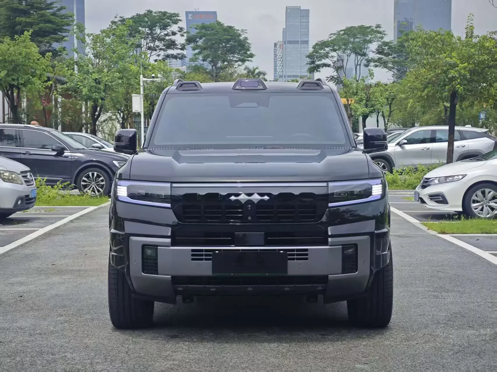BYD Leopard Leopard 8