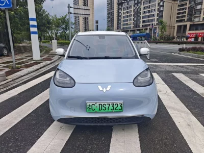 Wuling Bingo