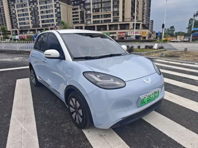Wuling Bingo