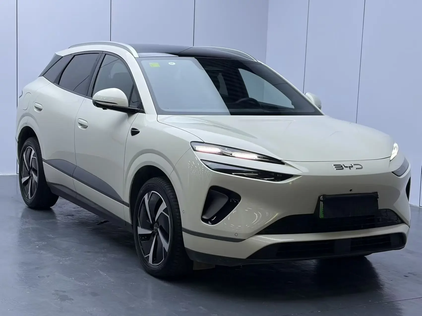 BYD Sea Lion 06DM