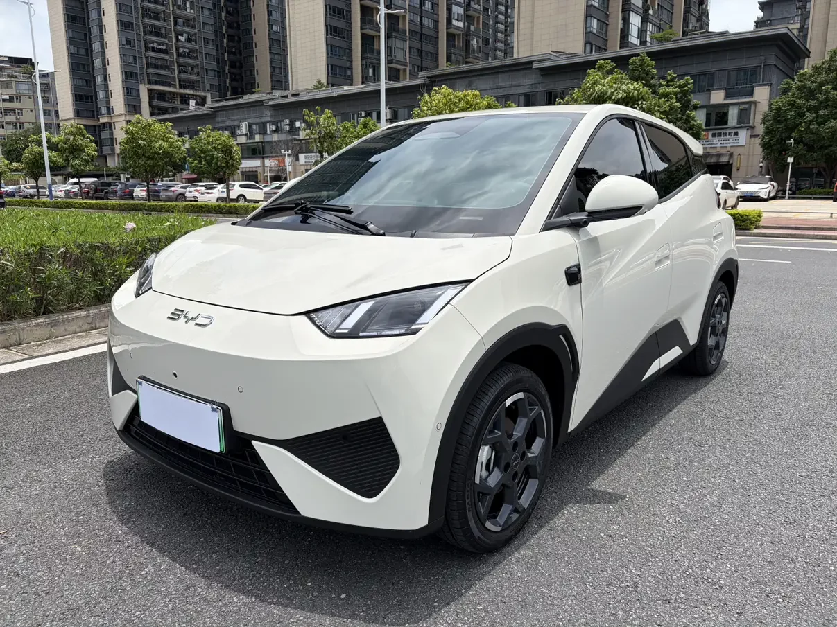 BYD seagull