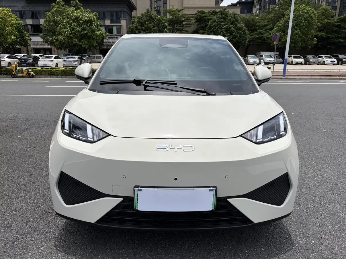 BYD seagull
