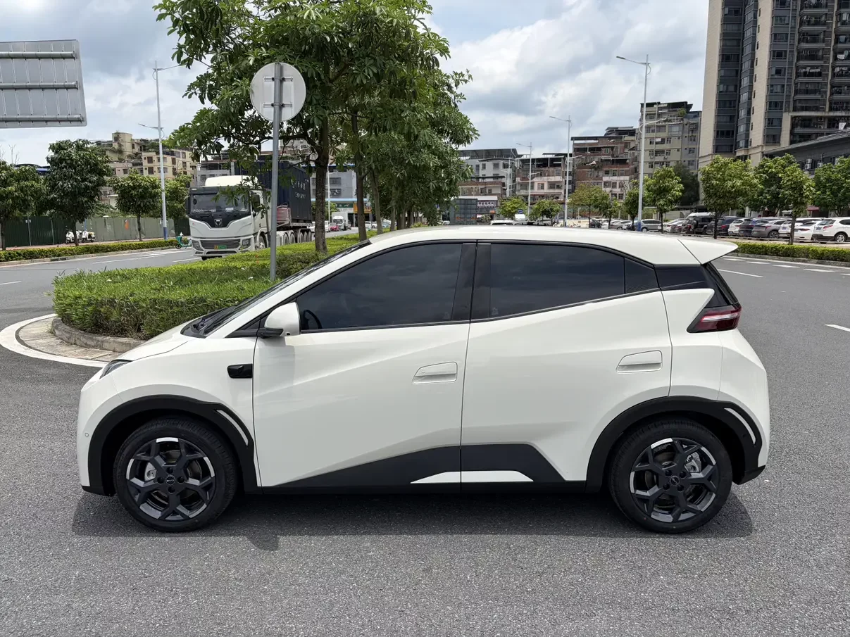 BYD seagull