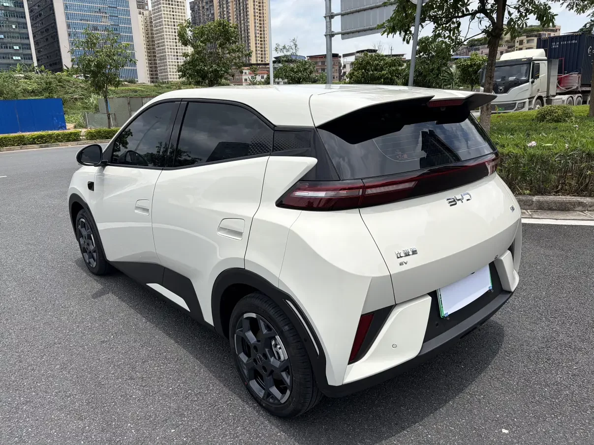 BYD seagull
