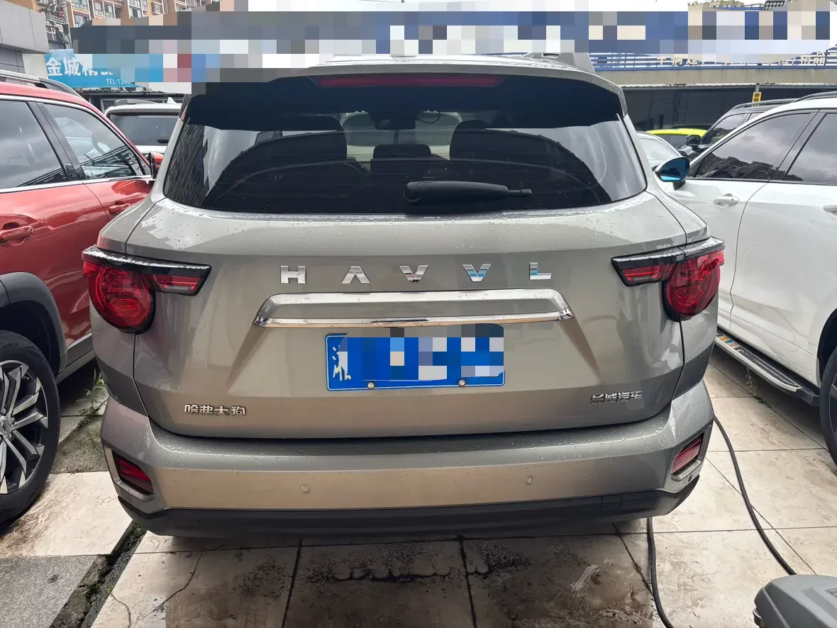 Haval H-Dog
